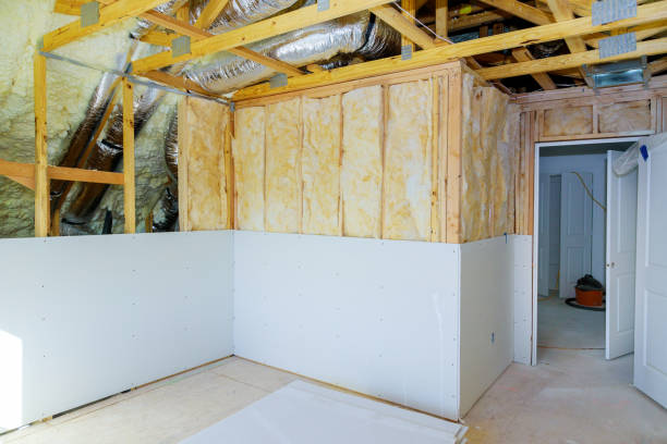 Best Insulation Replacement Services  in Lebanon, KY