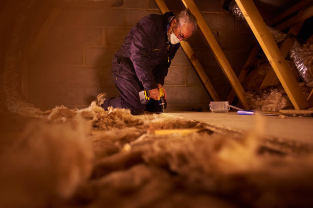 Best Professional Insulation Contractor  in Lebanon, KY